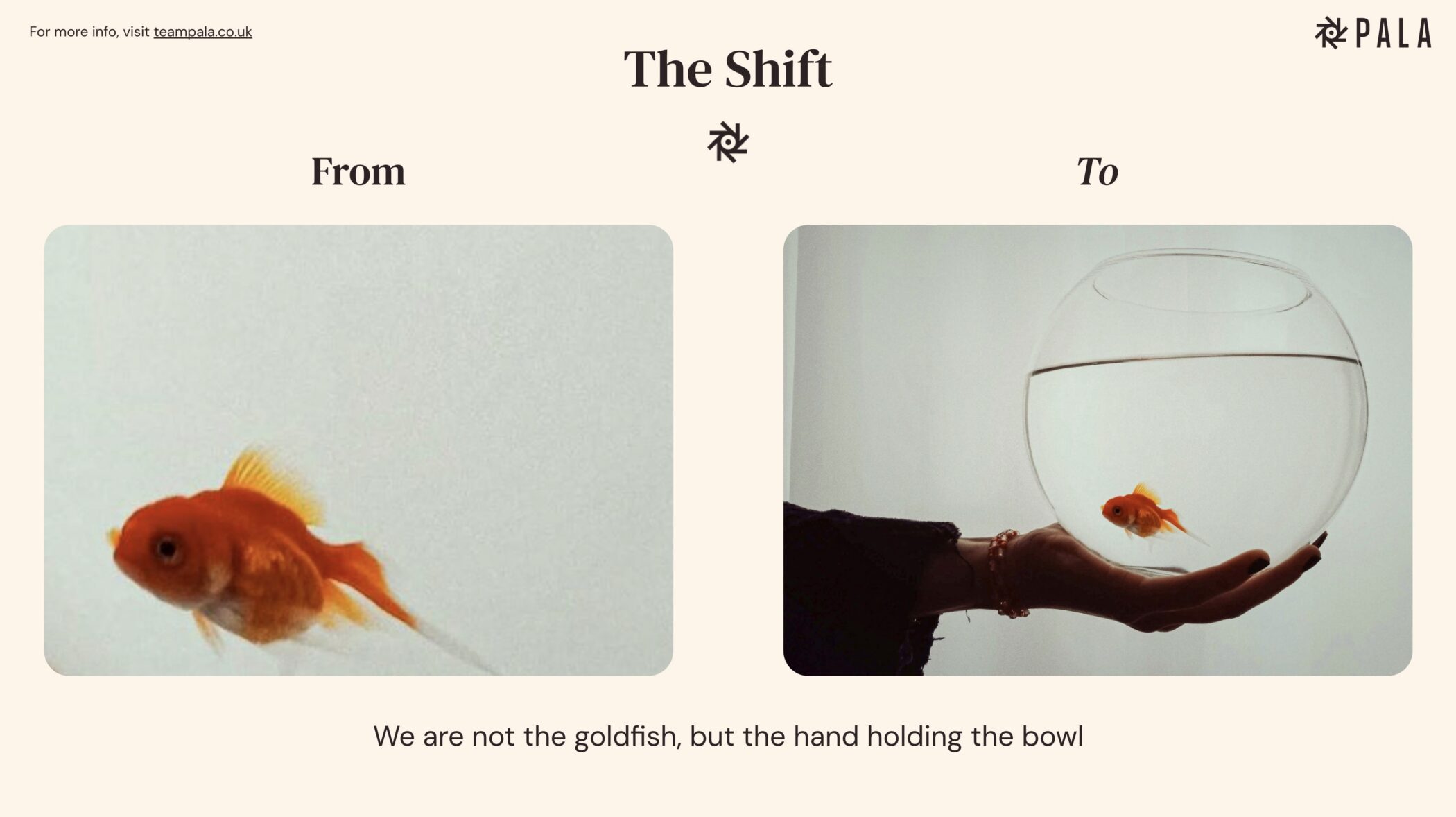 Goldfish and hand holding goldfish in glass bowl